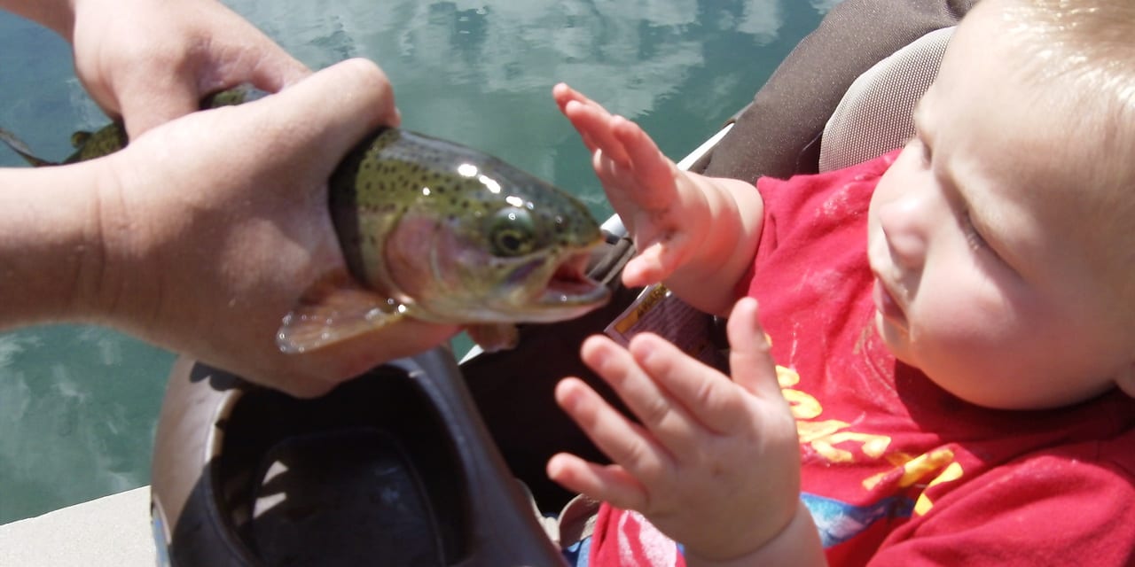 Rainbow Trout Fish Boy
