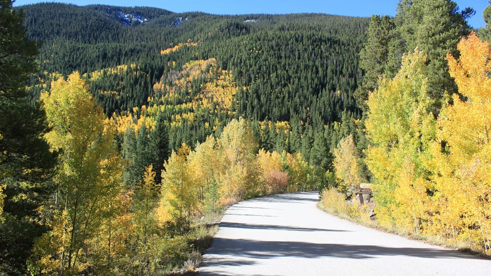 Fall Foliage Cottonwood Pass Buena Vista