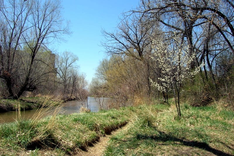 Cherry Creek Trail Glendale Colorado
