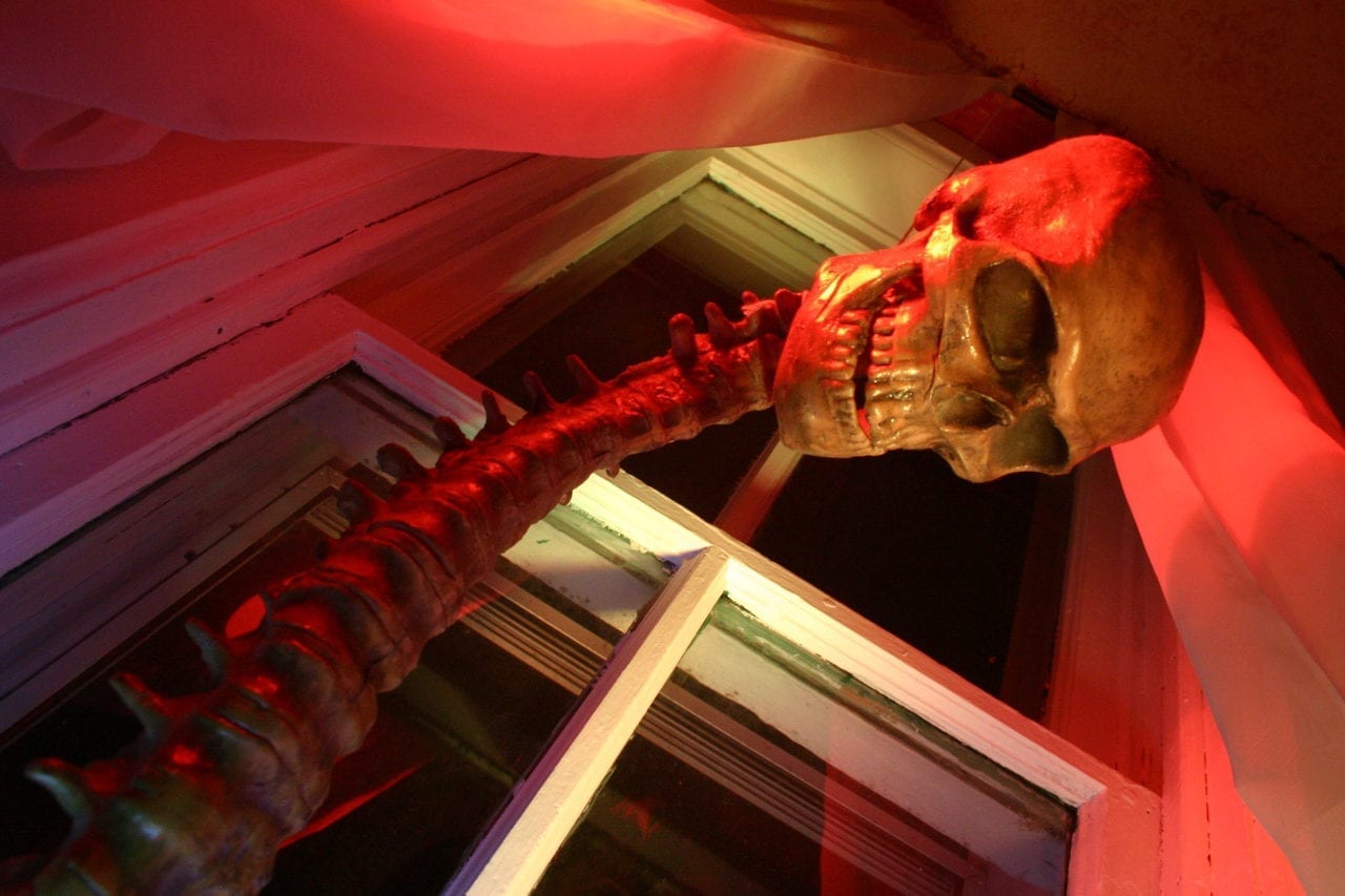 Denver Halloween Skeleton Window