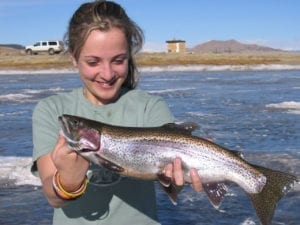 Colorado Rainbow Trout Eleven Mile Reservoir