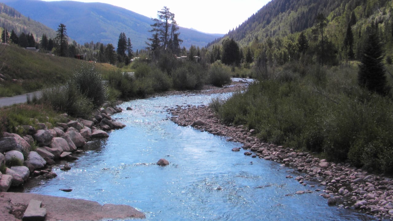 Gore Creek Fishing Colorado
