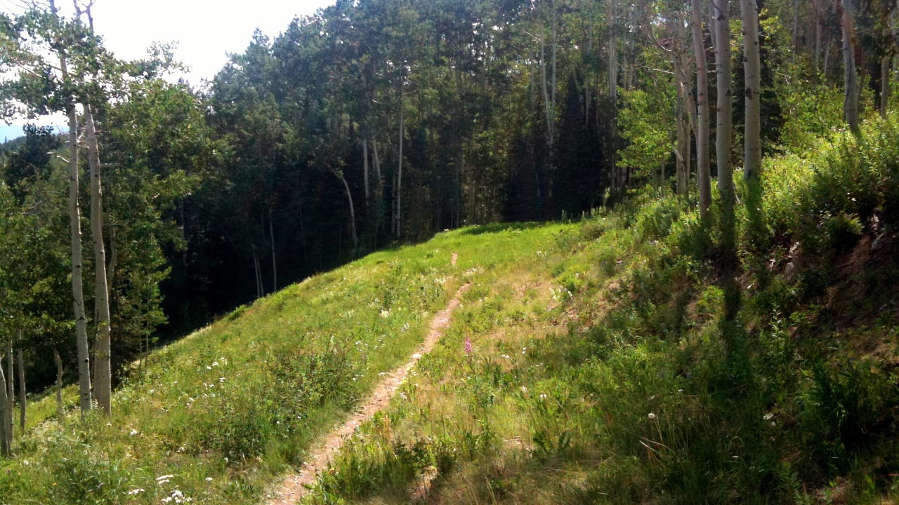 Government Trail Mountain Biking Aspen