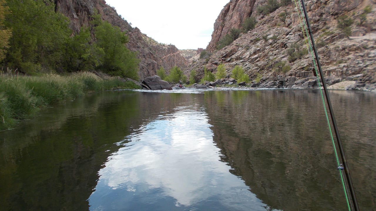 Gunnison River Fishing Colorado
