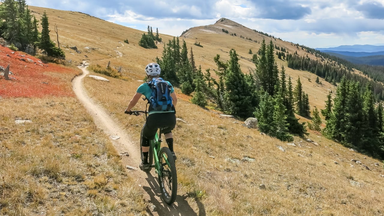 Monarch Crest Trail Mountain Biking Salida