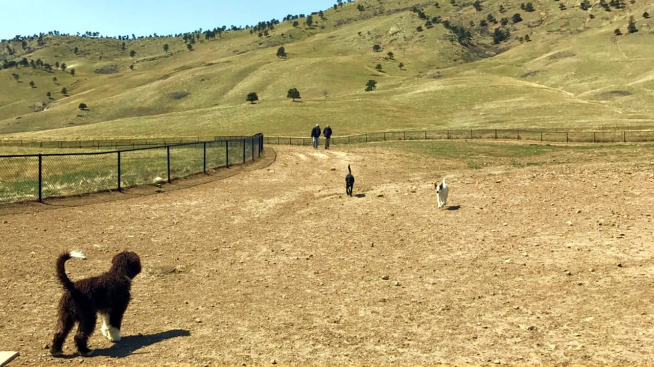 Foothills Community Dog Park Boulder Colorado