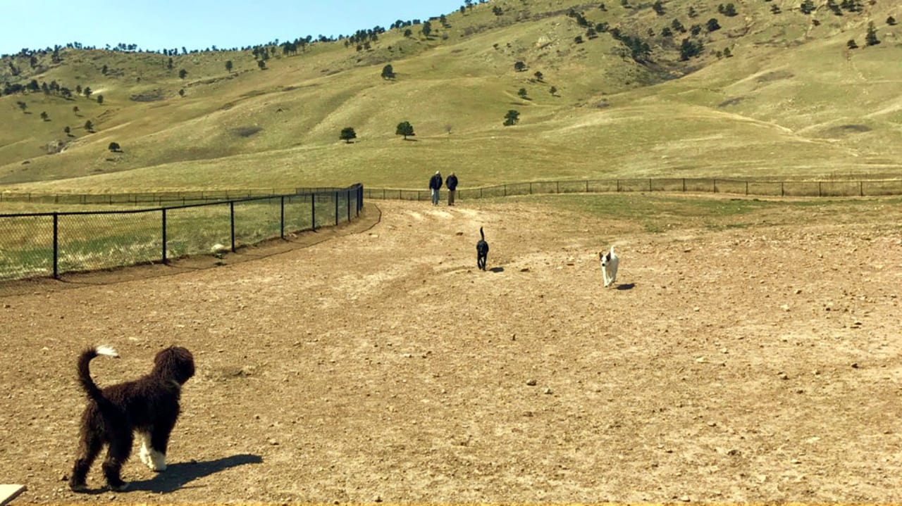 Taking Colorado by Four Paws (and a Leash) | Dog friendly parks in Boulder, Denver and Colorado