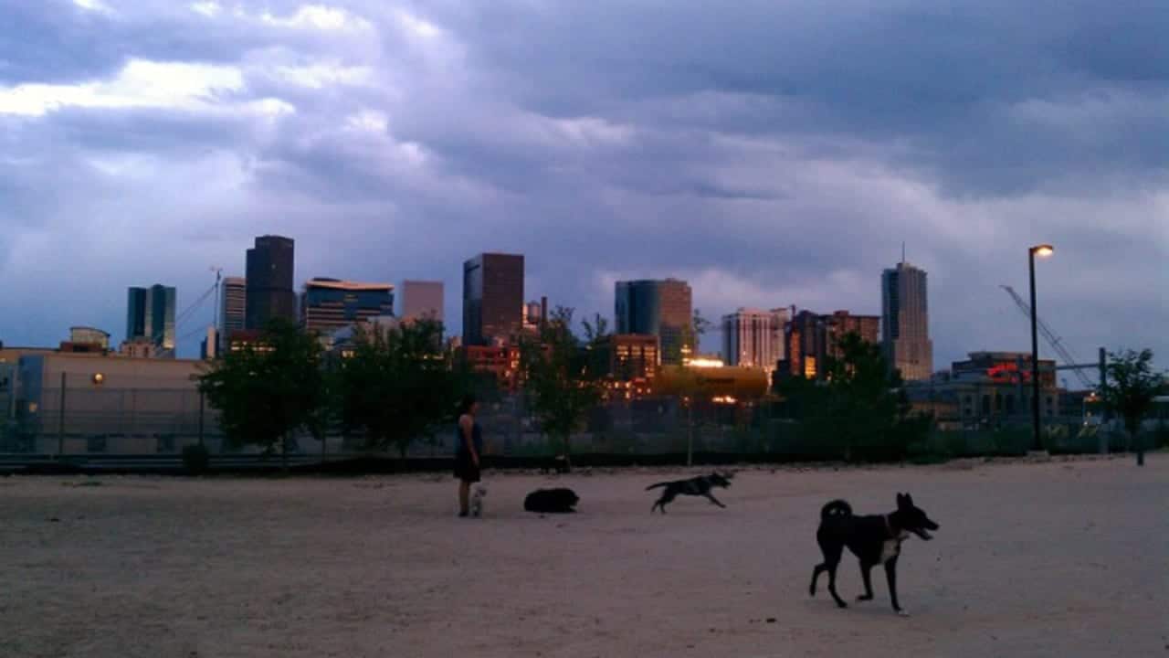 Railyard Dog Park Denver Colorado
