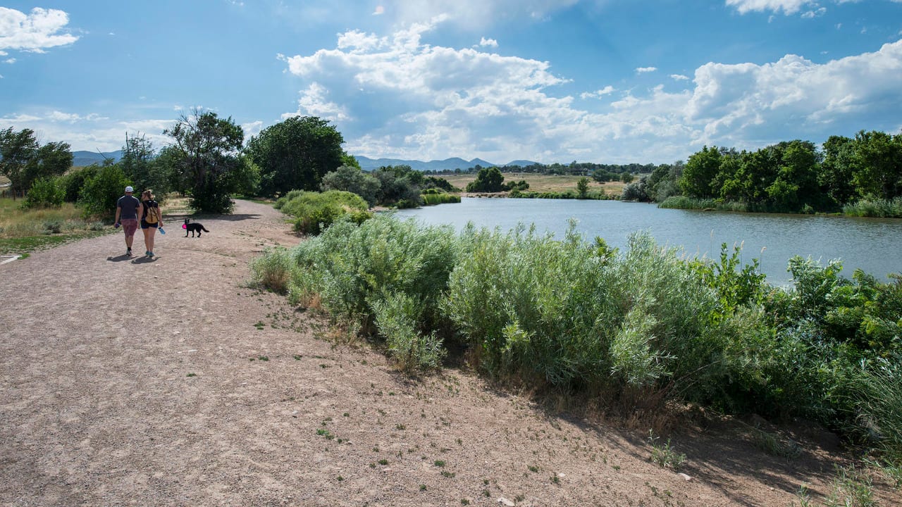 Chatfield State Park Off Leash Dog Area
