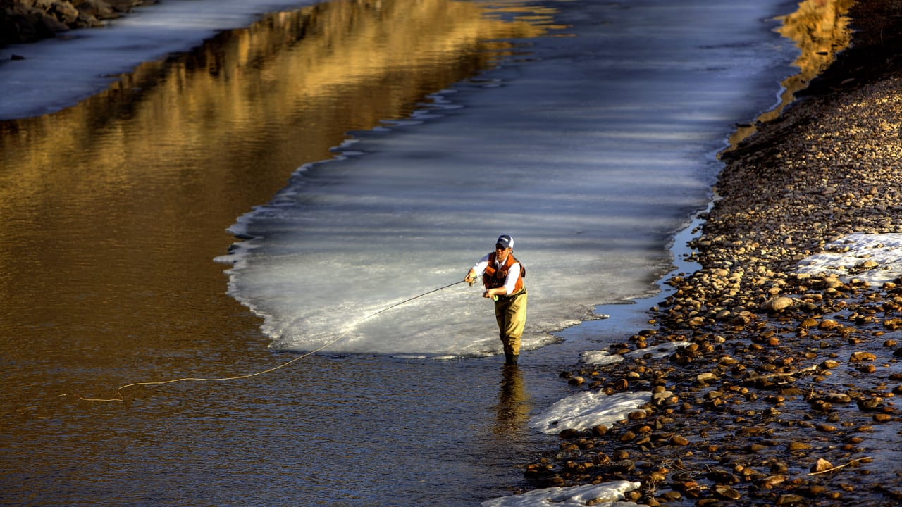 Poudre River Fly Fishing Colorado
