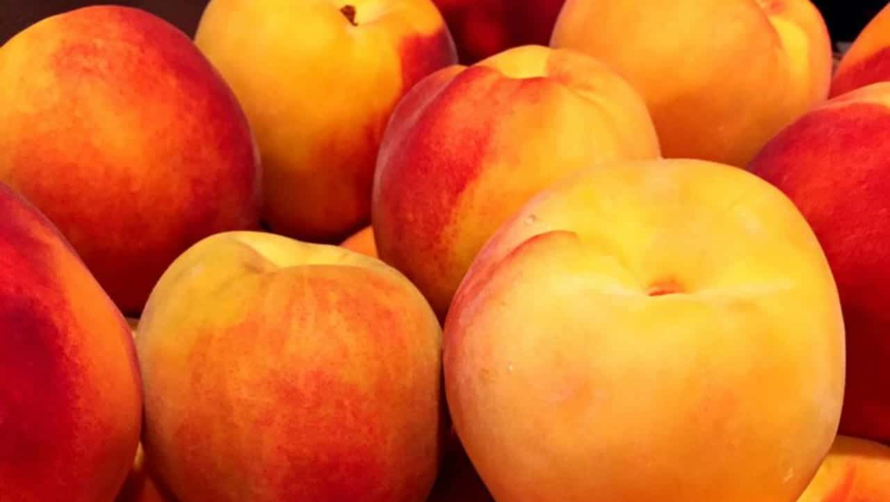Palisade Peaches