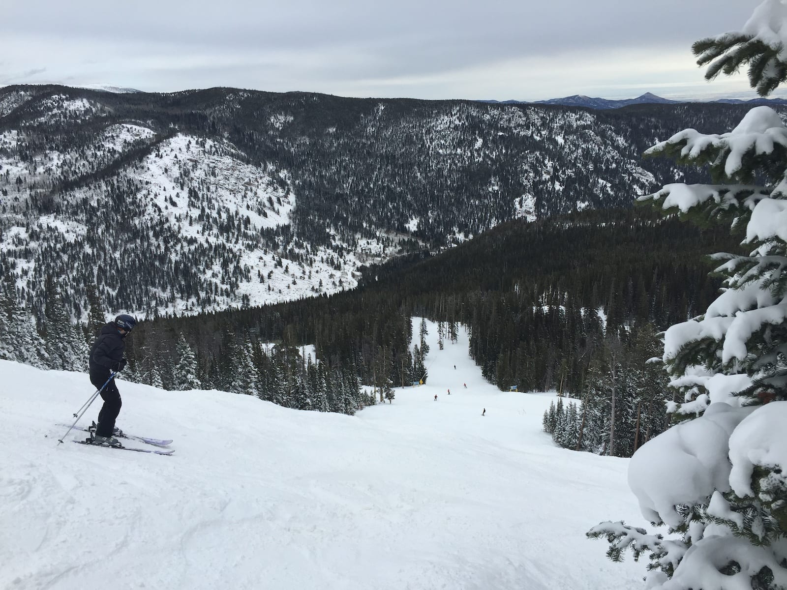 Jalur Pakar Resor Ski Gunung Eldora