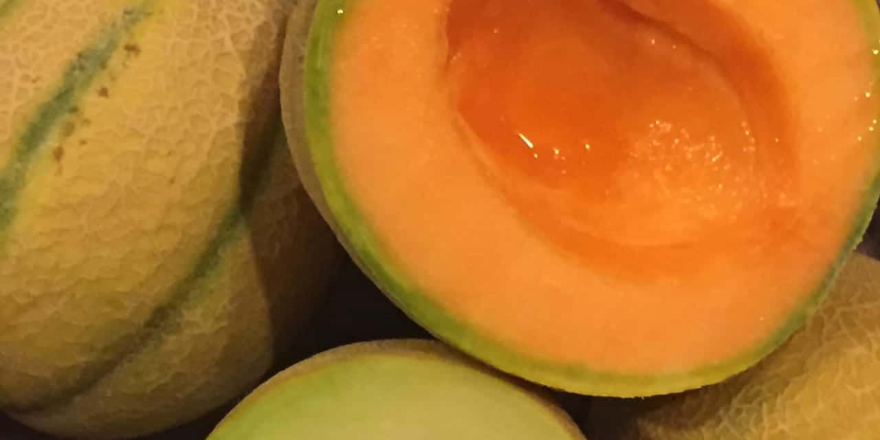 Rocky Ford Cantaloupes