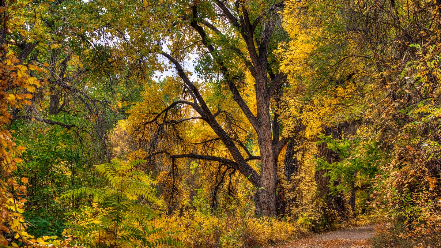 Visit Colorado Fall Arkansas Riverwalk Canon City