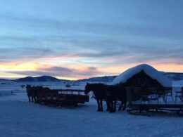 Bar Lazy L Ranch Sleigh Ride Colorado