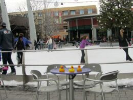 Belmar Ice Rink Ice Skating Lakewood Colorado