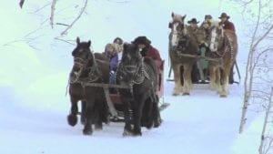 Buck's Livery Winter Sleigh Ride Colorado