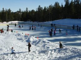 NedRink Ice Skating Nederland