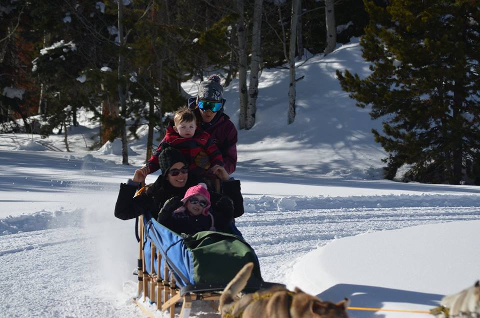 Snow Buddy Dog Sled Tours