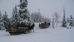 Two Below Zero Dinner Sleigh Rides | Dinner sleigh rides in Frisco, CO ...