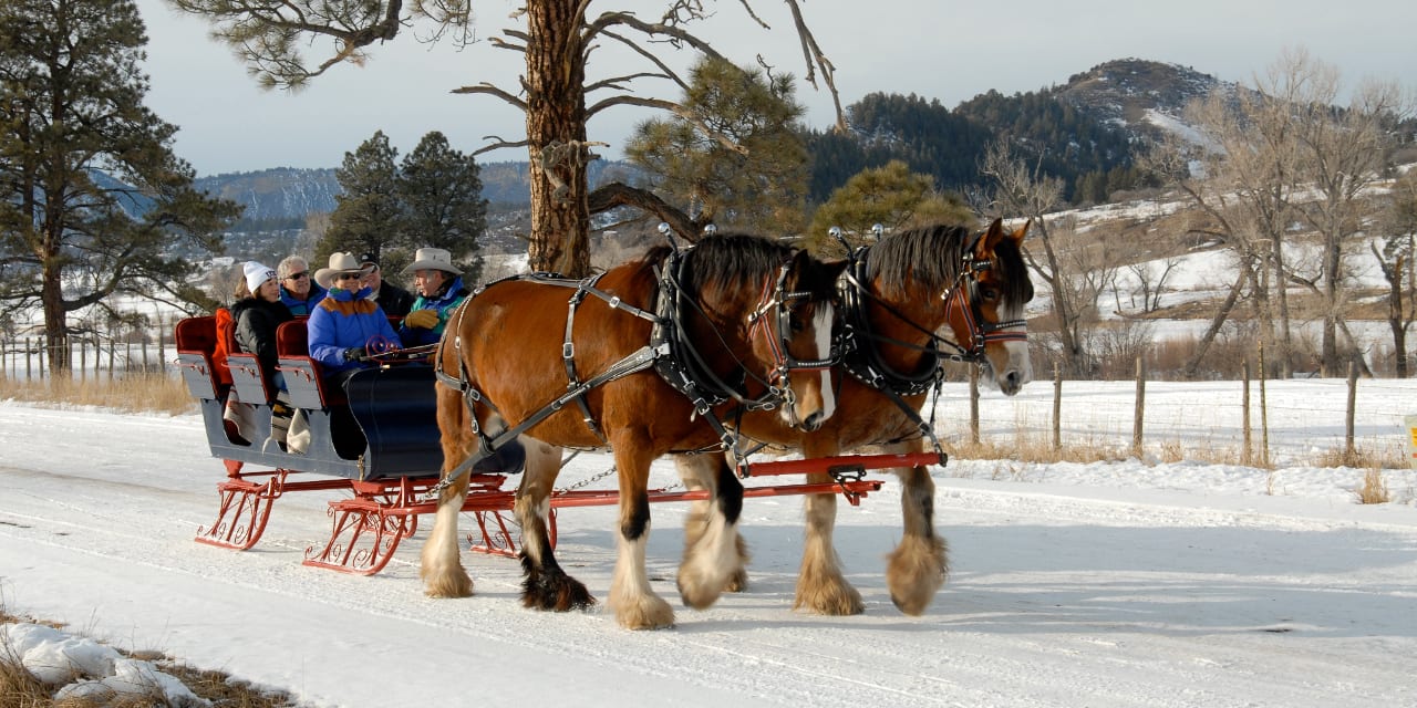 Astraddle A Saddle Sleigh Ride Pagosa Springs