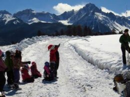 Top of Pines Nordic Skiing Ridgway Colorado