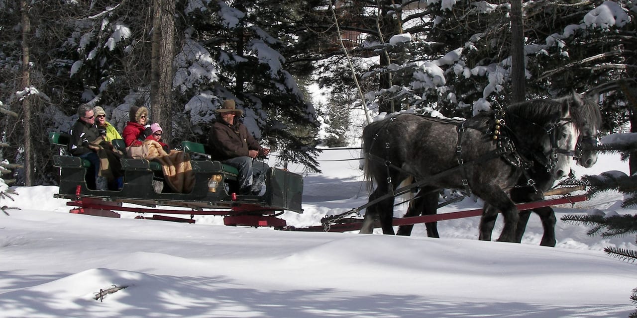 Aspen Carriage and Sleigh Ride Winter Colorado