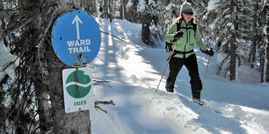 Grand Mesa Nordic Council Cross Country Skiing Ward Trail