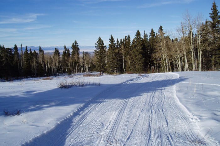 San Juan Nordic Club Groomed Trail Monte Vista Colorado