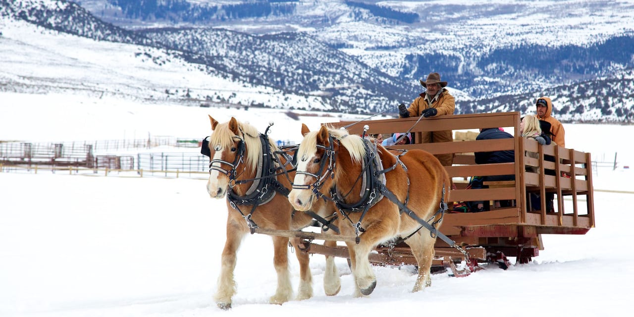 4 Eagle Ranch Sleigh Ride Wolcott Colorado