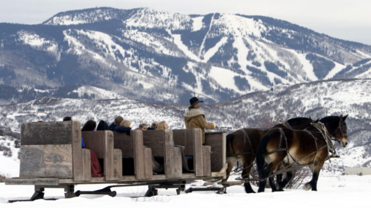 Aspen Carriage and Sleigh Colorado