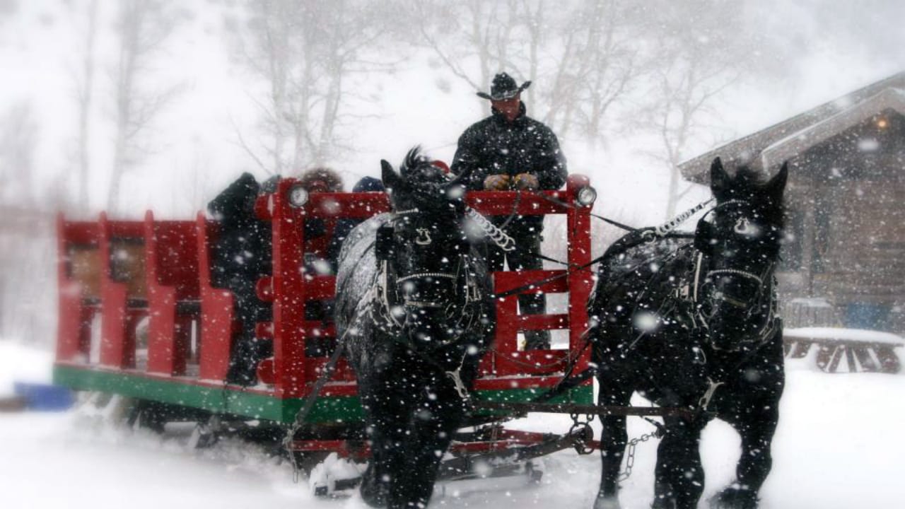 Bearcat Stables Sleigh Ride