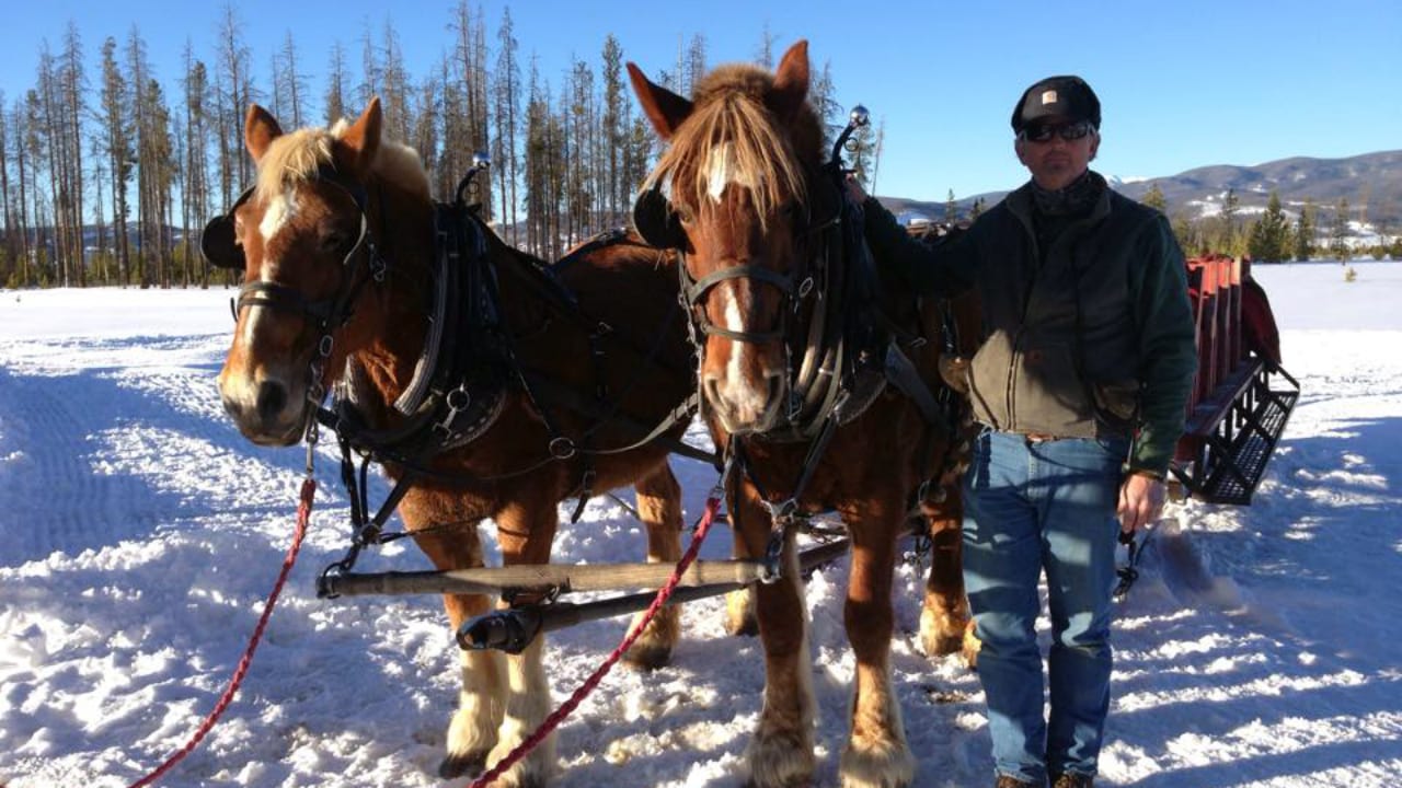 Dashing through Snow Sleigh Rides