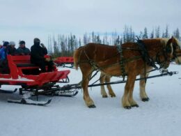 Dashing through Snow Sleigh Rides Fraser Colorado