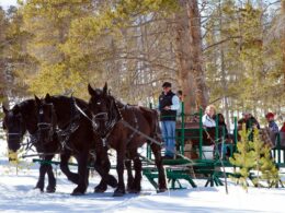 Devil's Thumb Ranch Sleigh Rides Tabernash Colorado