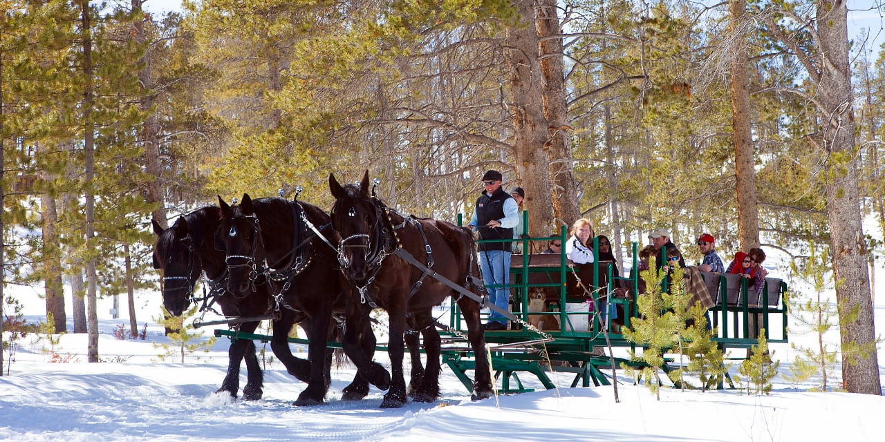 Devil's Thumb Ranch Sleigh Rides Tabernash Colorado