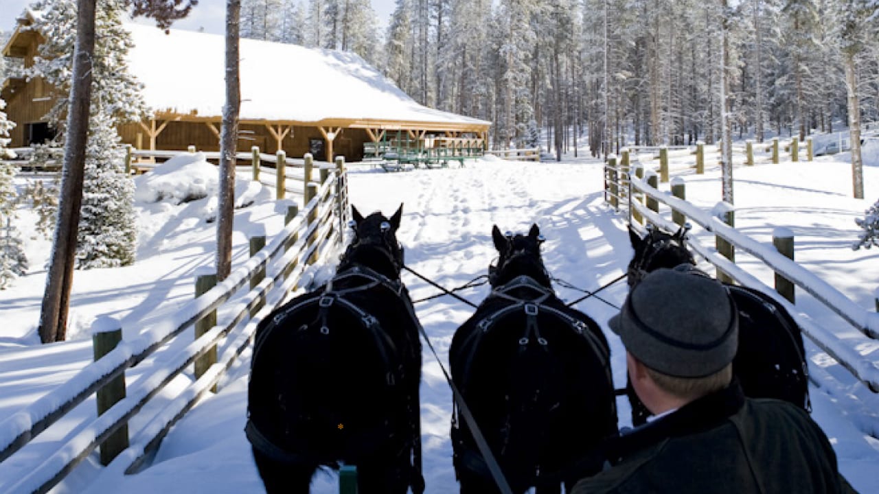 Devil's Thumb Ranch Sleigh Rides
