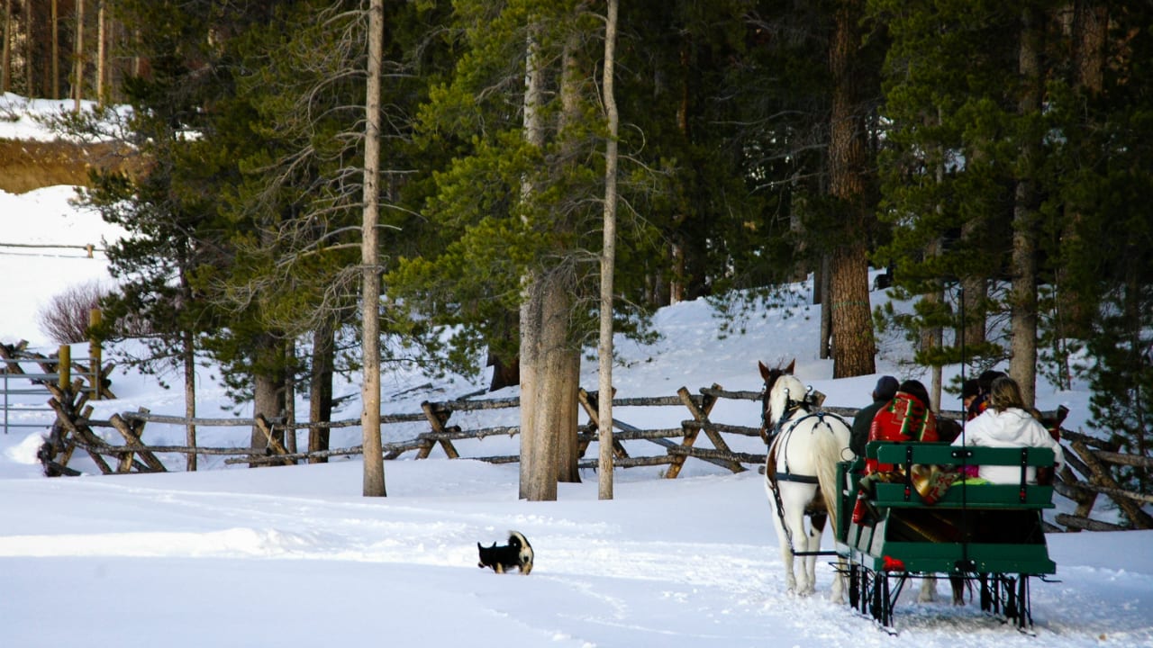 Devil's Thumb Ranch Sleigh Rides