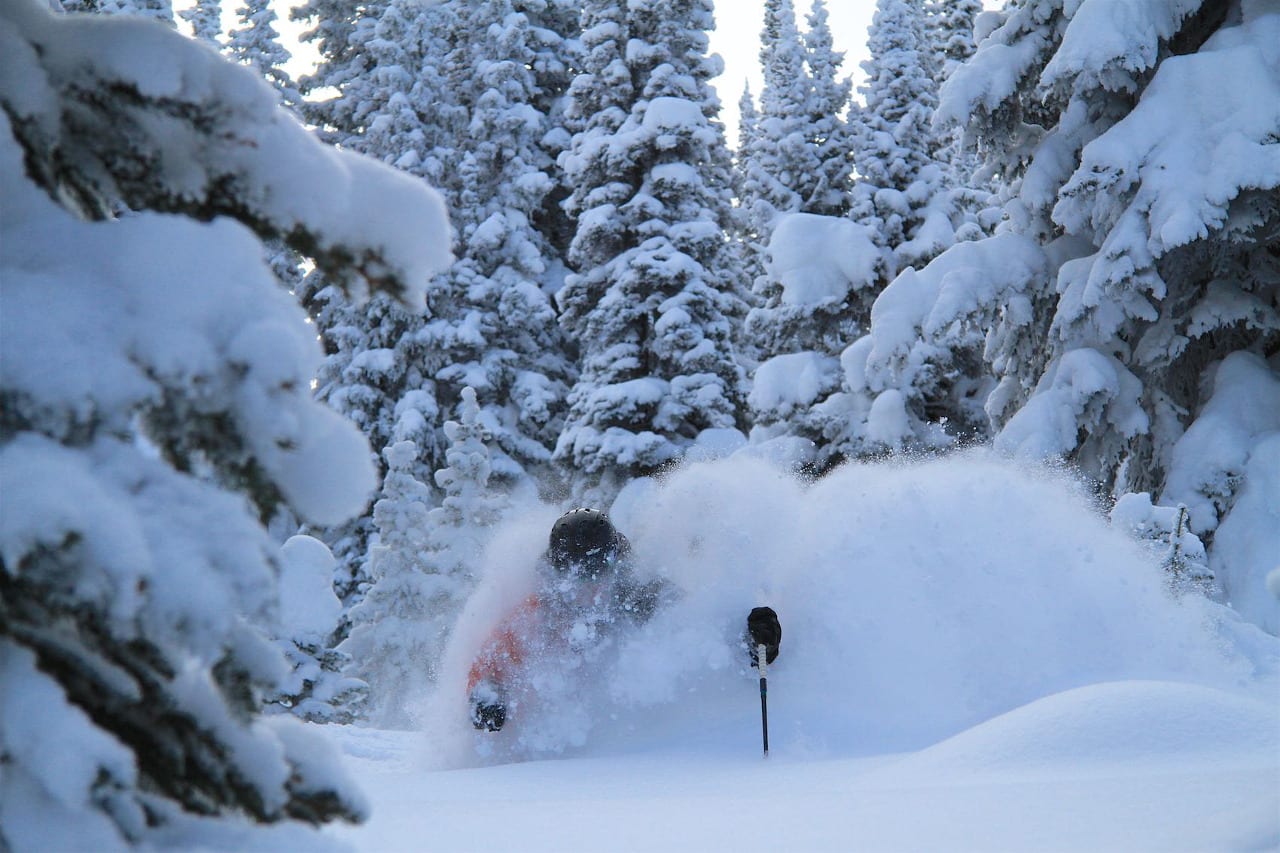 Tree Skiing Steamboat Powdercats Backcountry Skiing Colorado