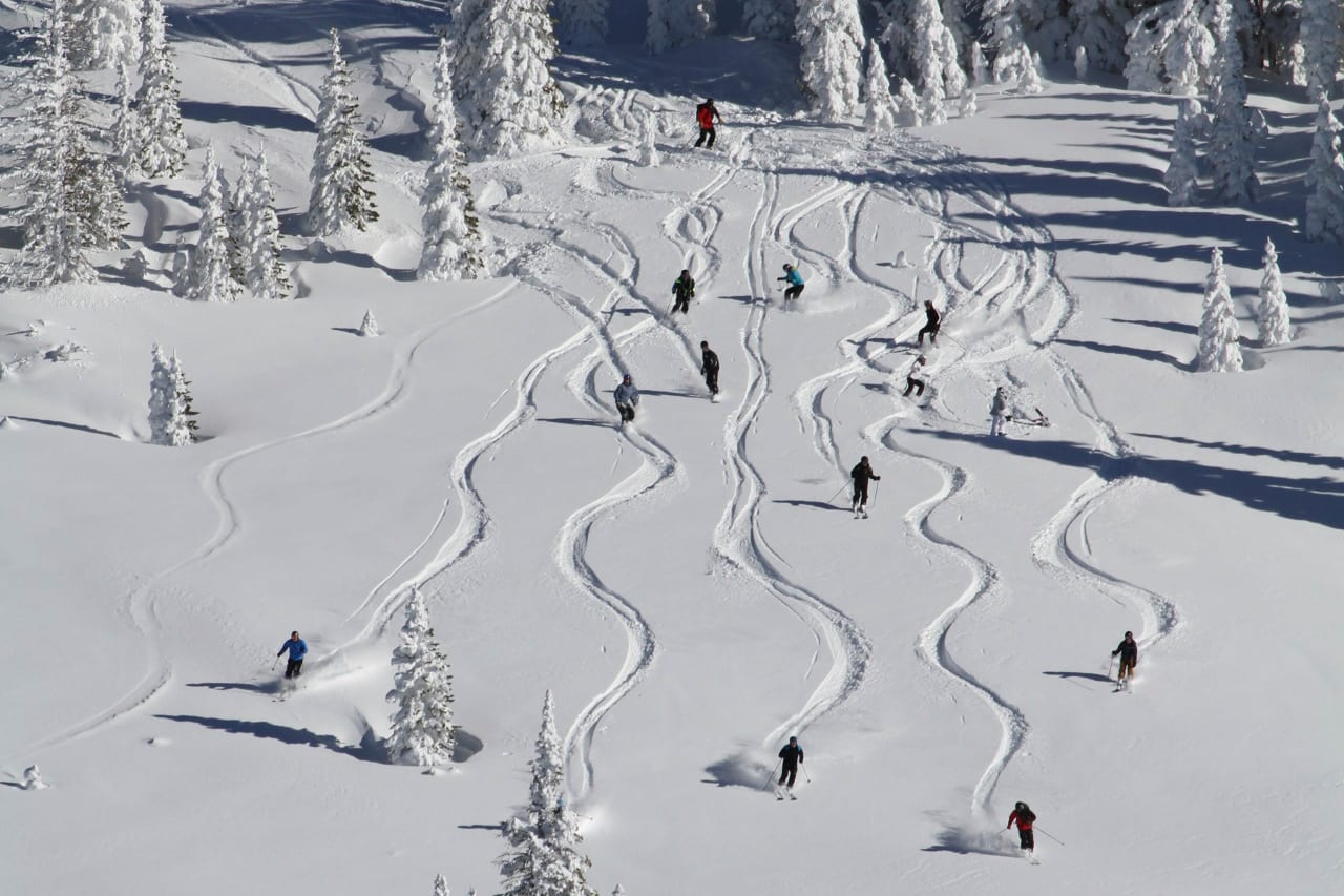 Steamboat Powdercats Backcountry Skiing Colorado Fresh Lines