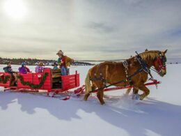 Telluride Horseback Adventures Sleigh Ride Norwood Colorado