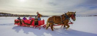 Telluride Horseback Adventures Sleigh Ride Norwood Colorado
