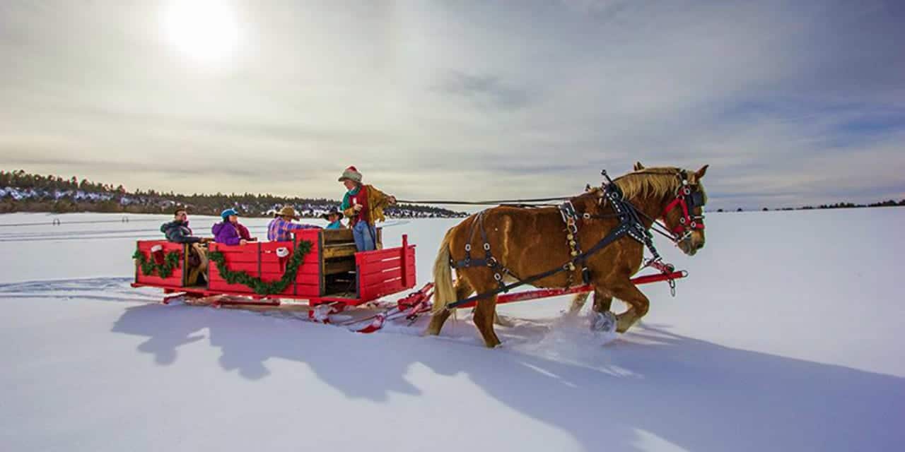 Telluride Horseback Adventures Sleigh Ride Norwood Colorado