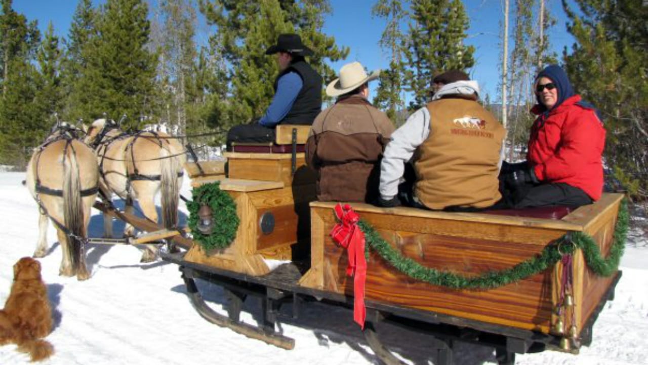 Co Sleigh Ride Christmas 2024 Hedvig Sallyann