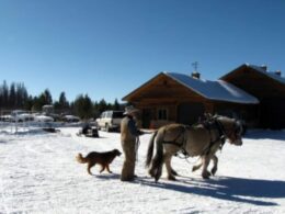 Winding River Resort Sleigh Ride Grand Lake Colorado