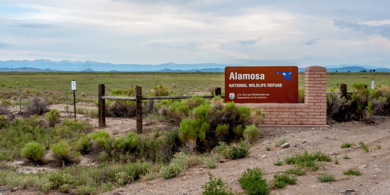 Alamosa National Wildlife Refuge Colorado