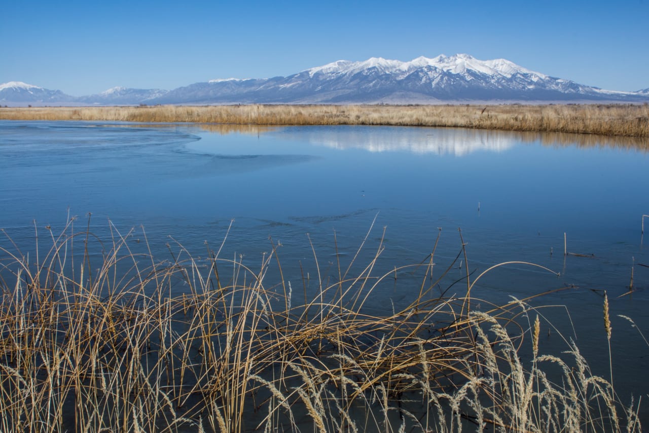 Alamosa National Wildlife Refuge Mountains River