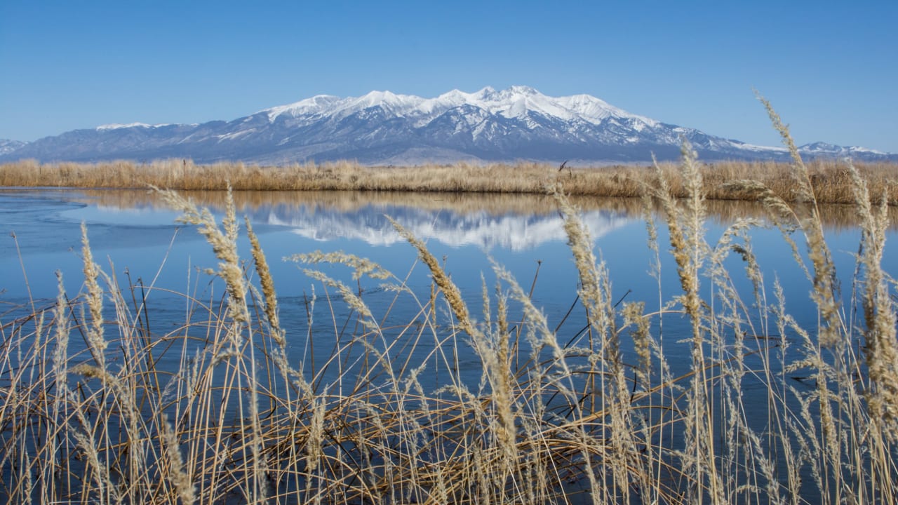 Alamosa National Wildlife Refuge