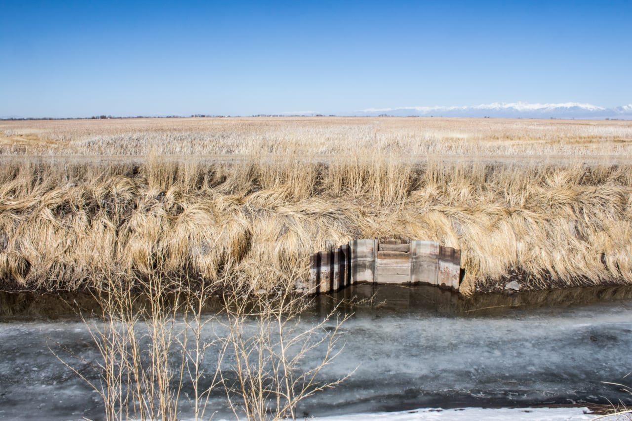 Alamosa National Wildlife Refuge