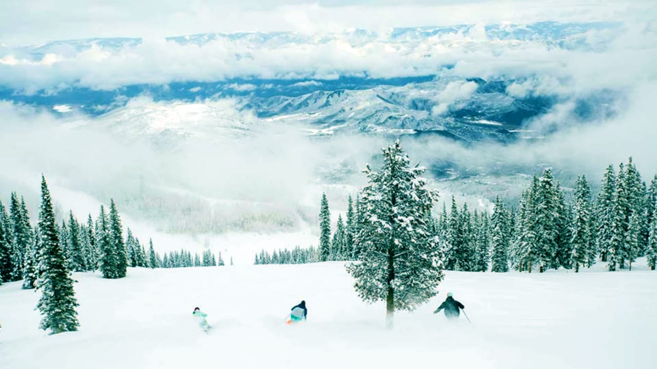 Aspen Powder Tours snowcat skiing shredding downhill